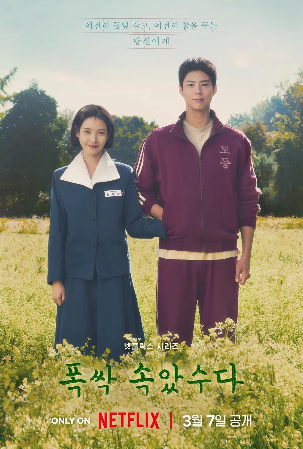 "When Life Gives You Tangerines 2025 | IU & Park Bo-gum’s Life-Changing Romance Unfolds in Jeju" Aesun Gwansik poster